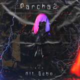 Parcha2