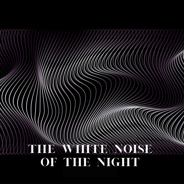 The White Noise of the Night