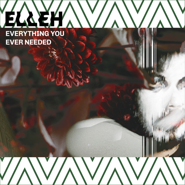Everything You Ever Needed