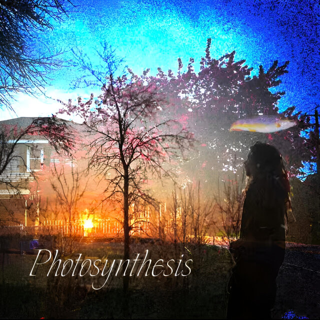 Photosynthesis