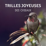 Ambiance naturelle paisible