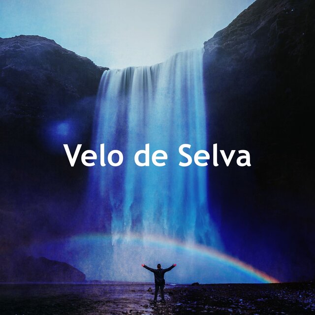 Velo de Selva