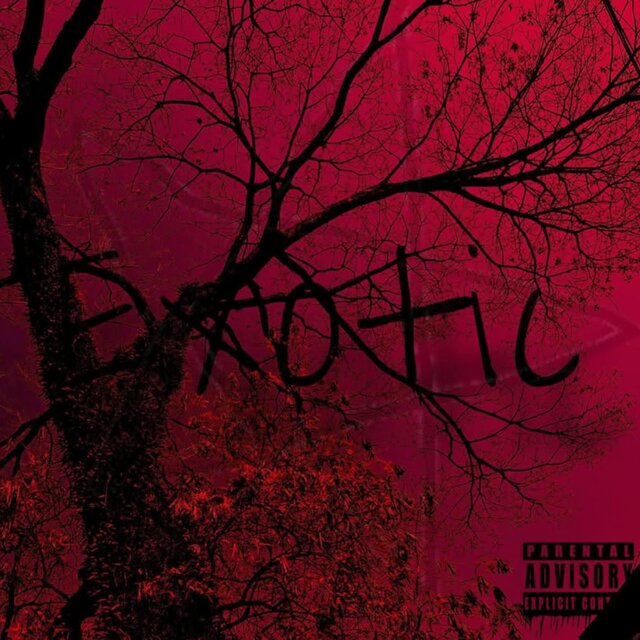 EXOTIC