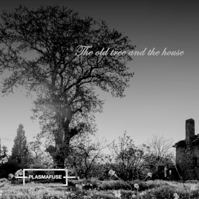 The Old Tree and the House