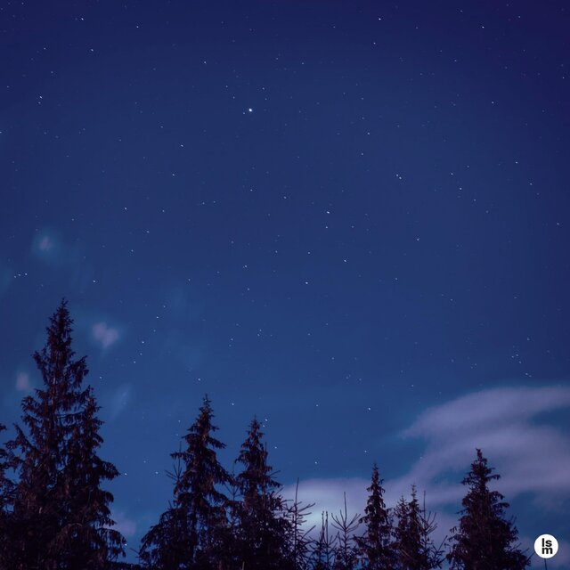 Starry Dawn [Sleepless Night]