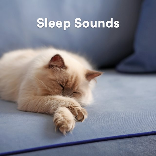 Sleep Sounds