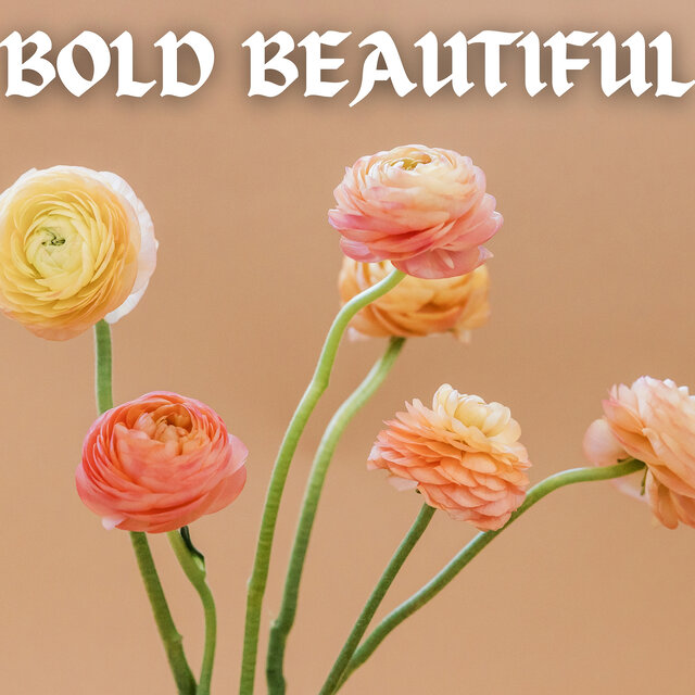 Bold Beautiful