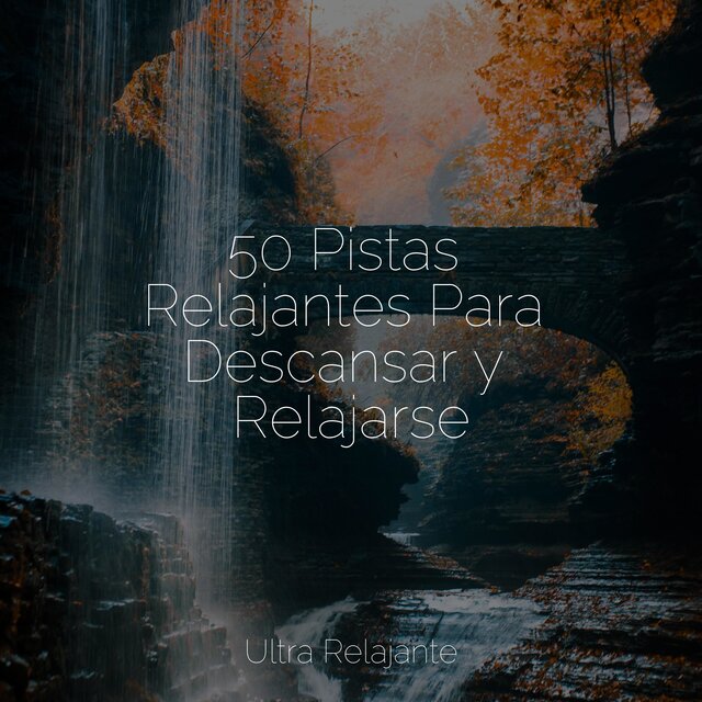 50 Pistas Relajantes Para Descansar y Relajarse