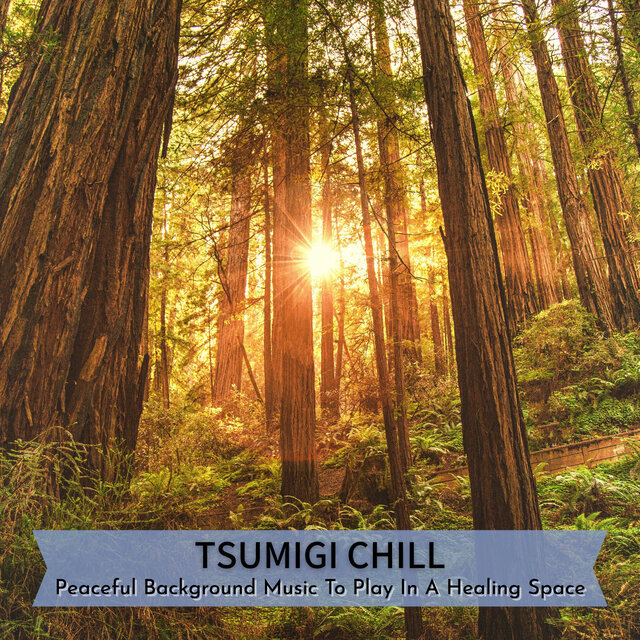 Peaceful Background Music To Play In A Healing Space