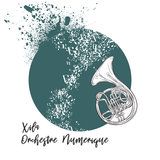 Orchestre Numerique