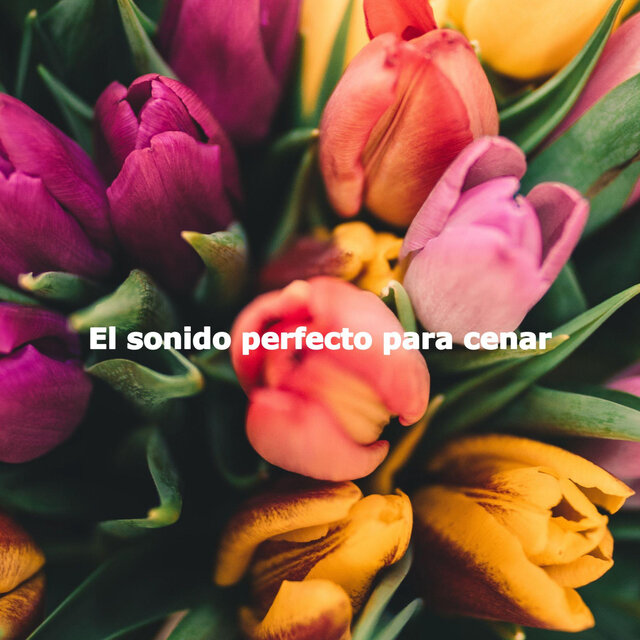El sonido perfecto para cenar