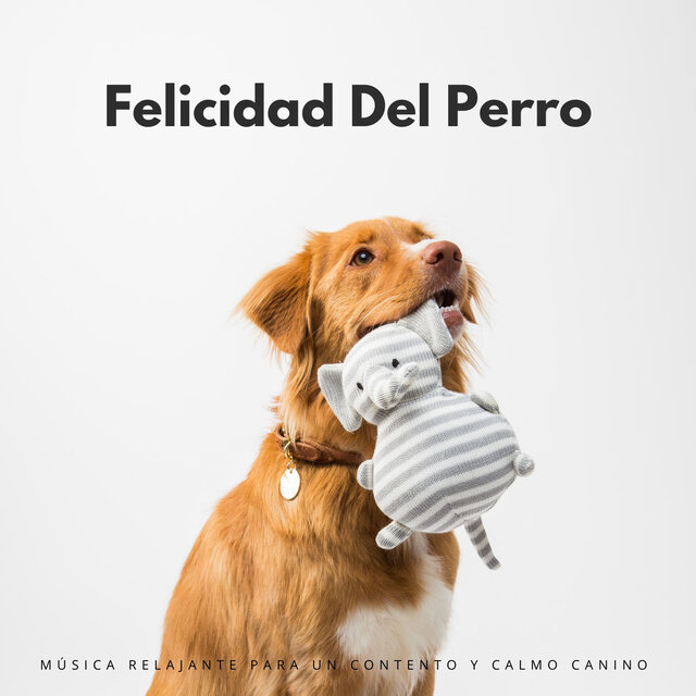 Felicidad Del Perro: Música Relajante Para Un Contento Y Calmo Canino