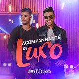 Acompanhante de Luxo