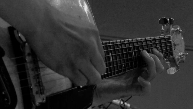 Jungle (excerpt)