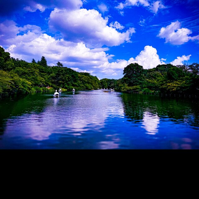 INOKASHIRA LANDSCAPE