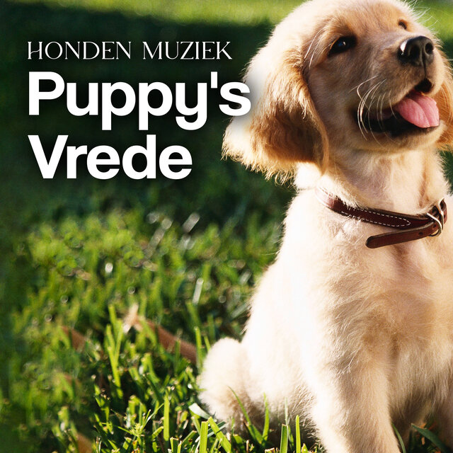 Puppy's Vrede