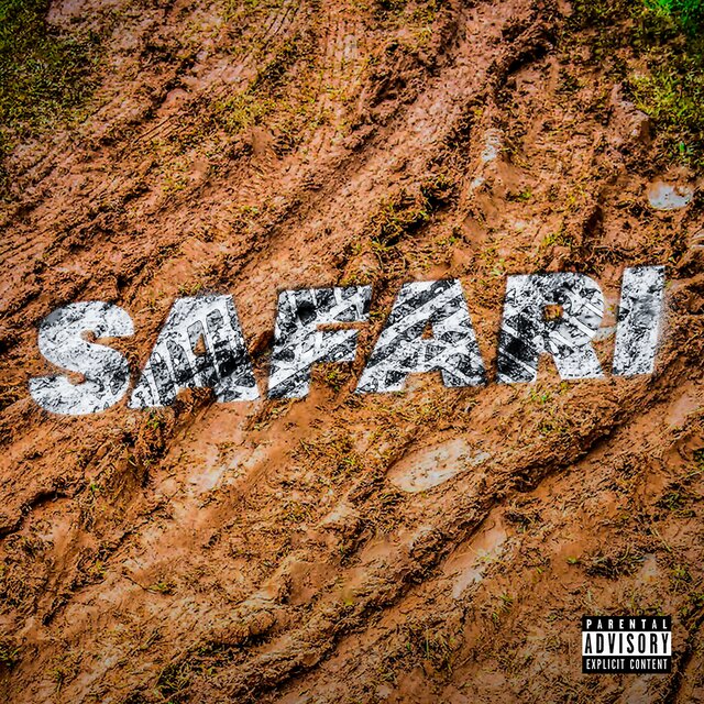 Safari