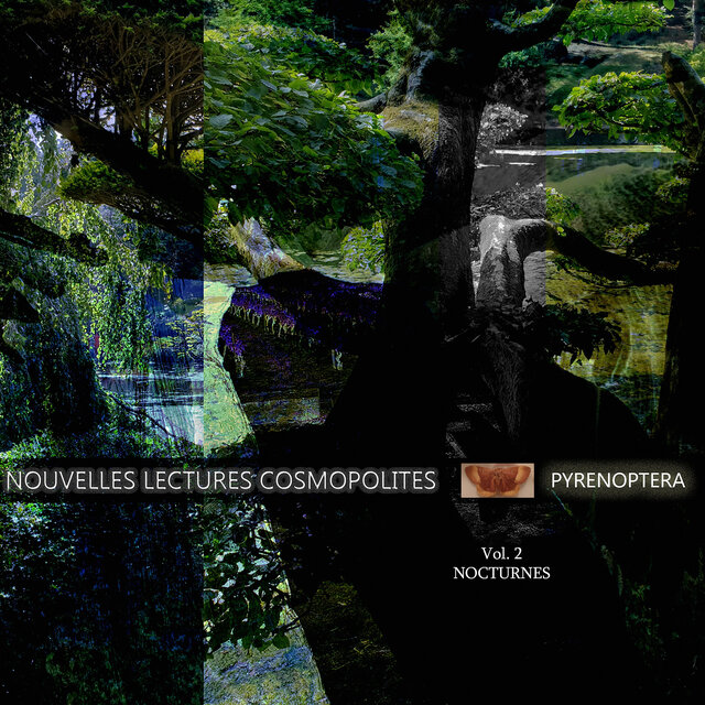 Pyrenoptera Vol. 2 - Nocturnes