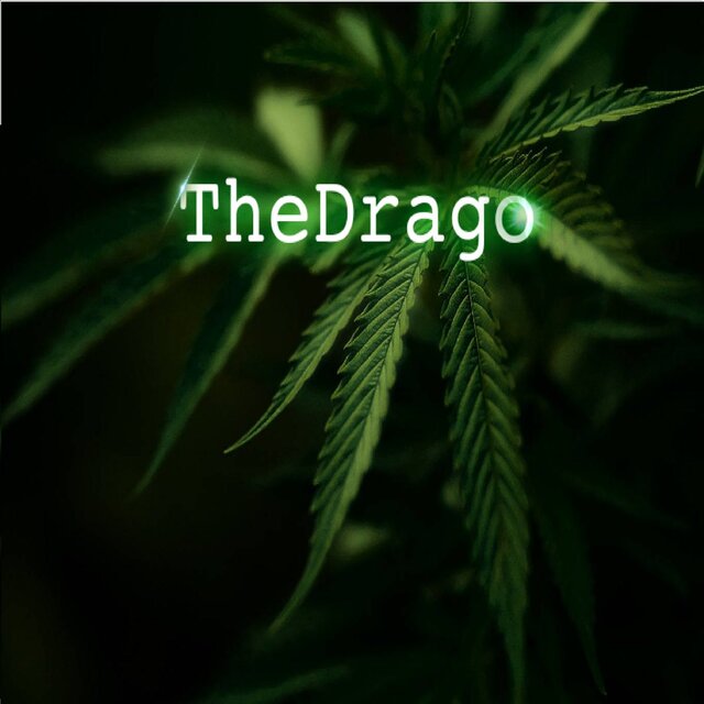 The Drago