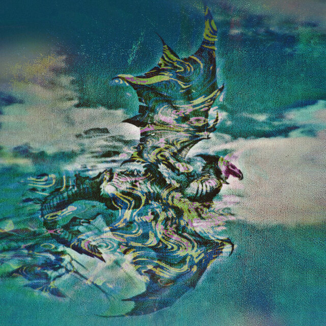DMT DRAGON FLY