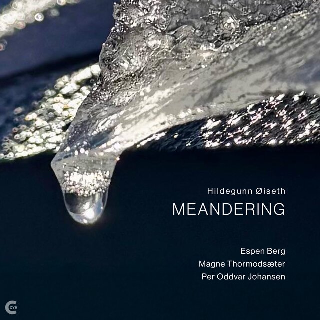 Cover art for album Meandering by Hildegunn Øiseth, Espen Berg, Magne Thormodsæter, Per Oddvar Johansen