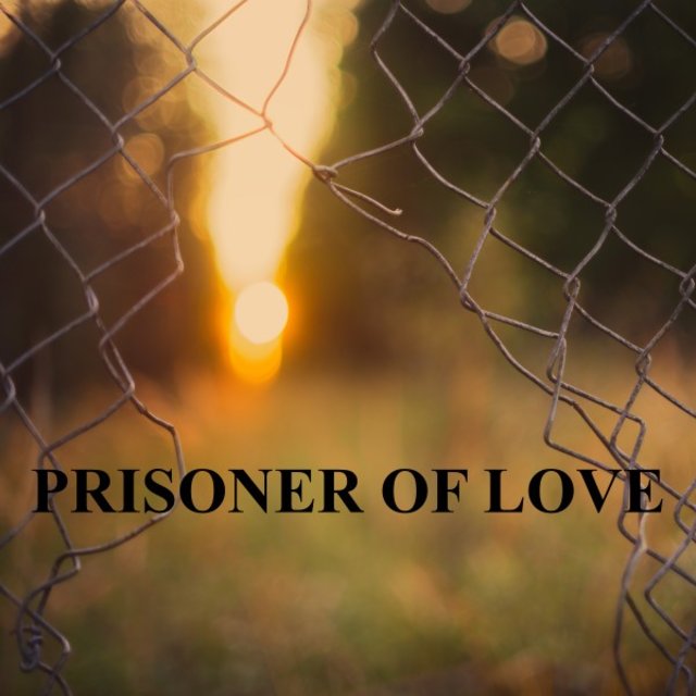 Prisoner of Love