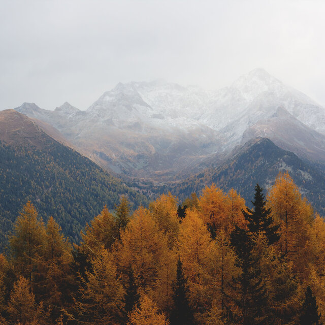 Autumn Wind