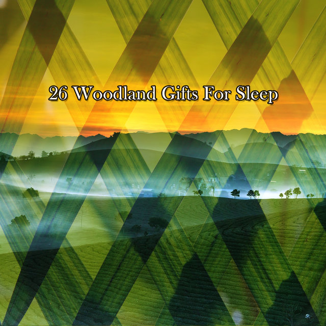26 Woodland Gifts For Sleep