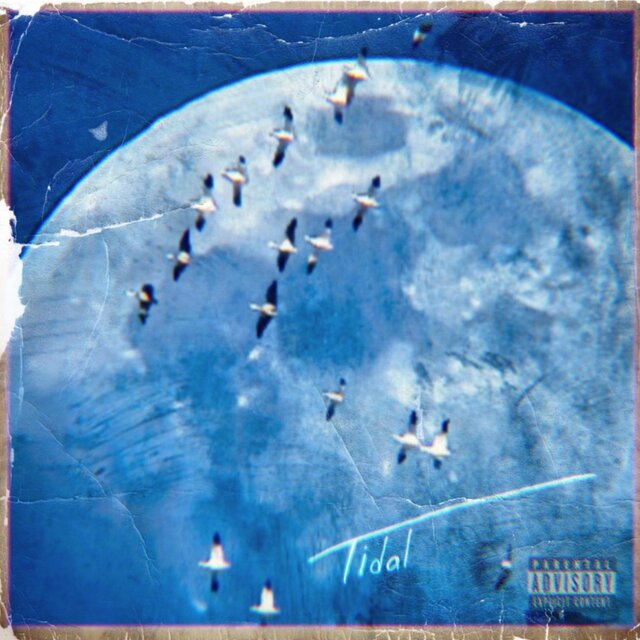 Tidal