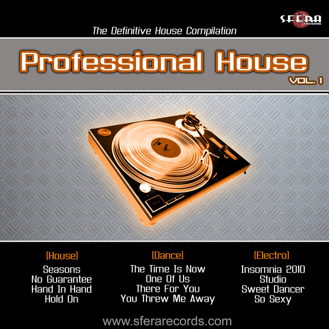 Professional House Vol.1