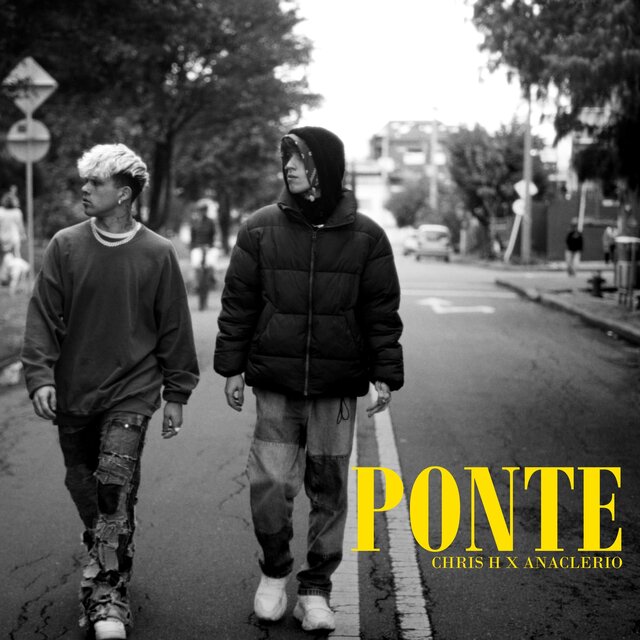 Ponte