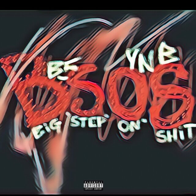 B.S.O.S