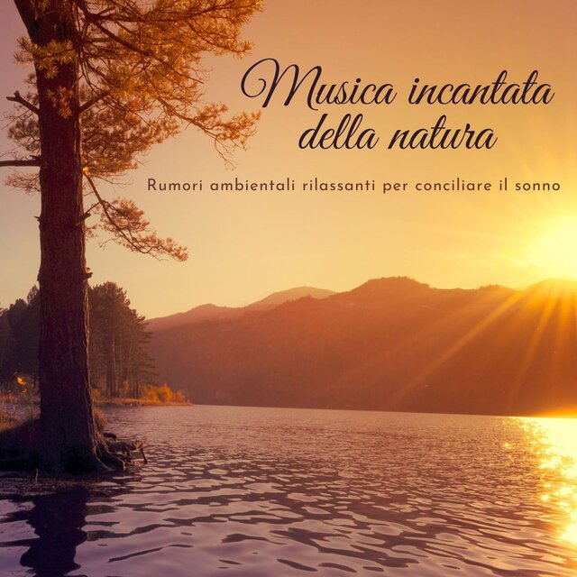 Musica incantata della natura: Rumori ambientali rilassanti per conciliare il sonno