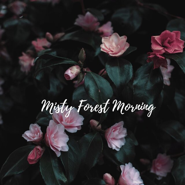 Misty Forest Morning 