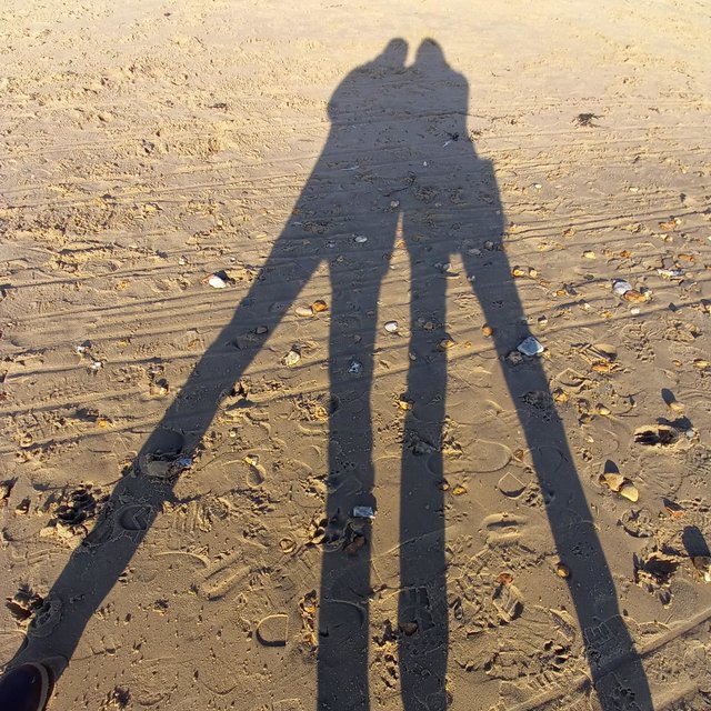 Together Shadows