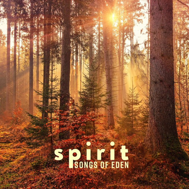 Spirit