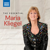 Im Walde, Op. 50: III. Andacht (Devotion) [arr. P. Breiner for orchestra]