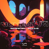 Momentum