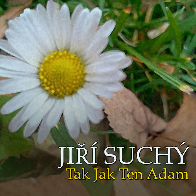 Tak Jak Ten Adam