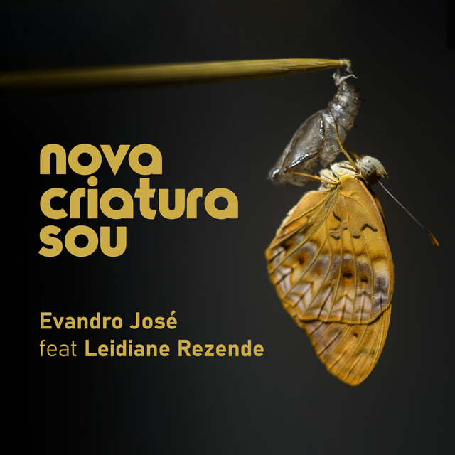 Nova Criatura Sou
