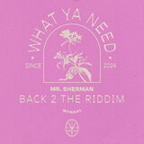 Back 2 The Riddim