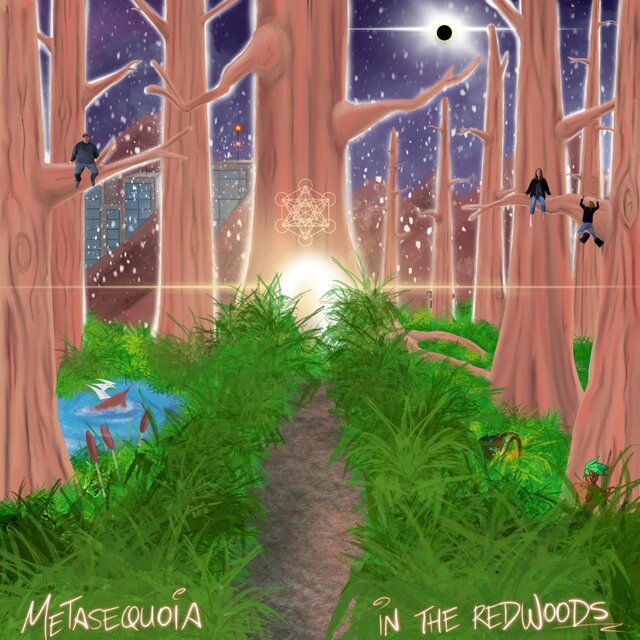 In The Redwoods
