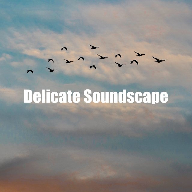 Delicate Soundscape