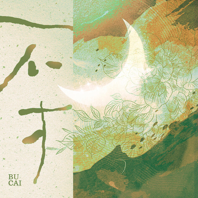 不才