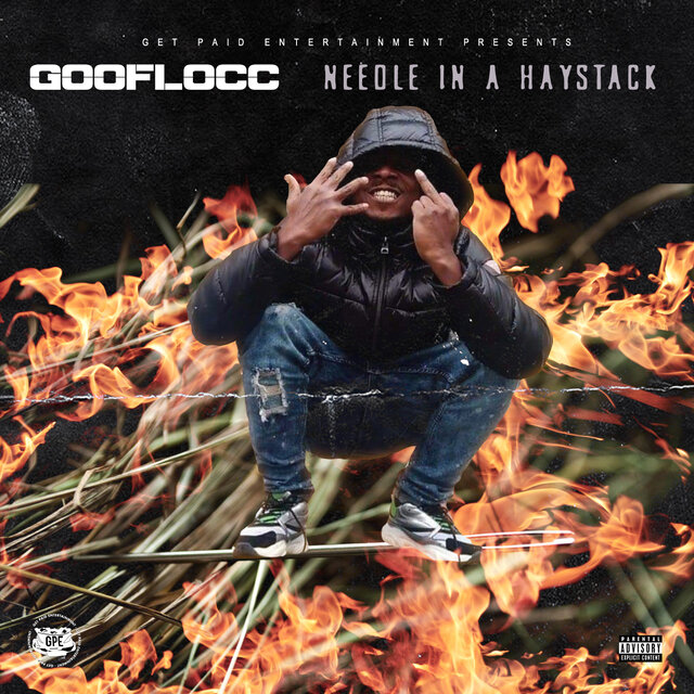 Needle In A Haystack
