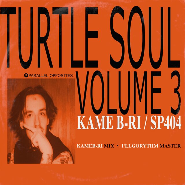Turtle Soul vol. 3