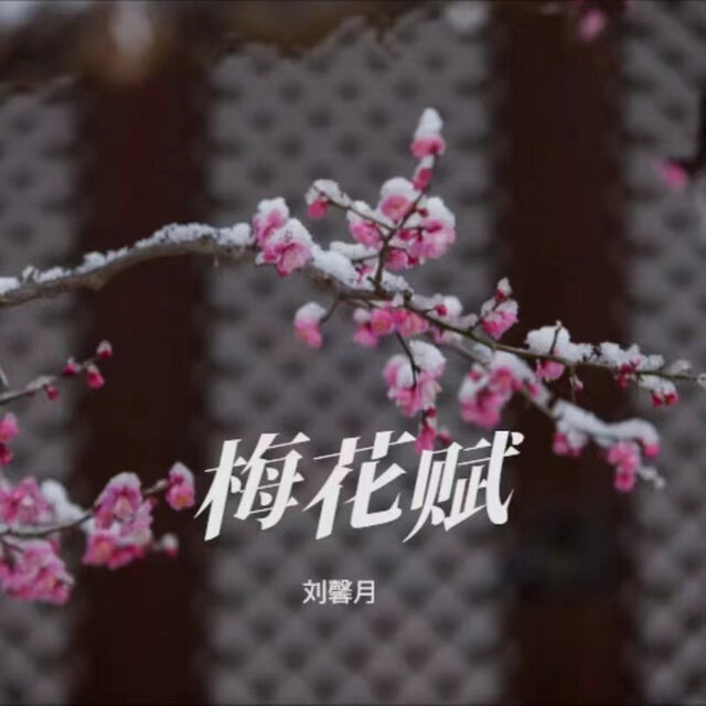 梅花赋 (DJ何友版)