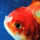 Cover art for album Big Fish Theory by Vince Staples