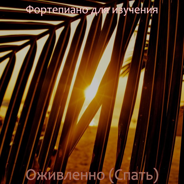 Оживленно (Спать)