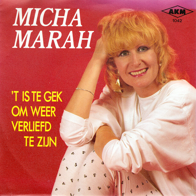 't Is Te Gek Om Weer Verliefd Te Zijn
